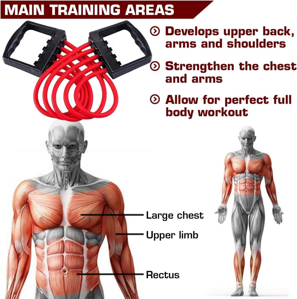 MOSHTU Chest Expander Adjustable Exercise Bands Pull Stretcher Resistance Bands 5 Tubes Strength Trainer Durable Rubber Gym Training Exercise Tool MOSHTU Chest Expander Adjustable Exercise Bands Pull Stretcher Resistance Bands 5 Tubes Strength Trainer Durable Rubber Gym Training Exercise Tool